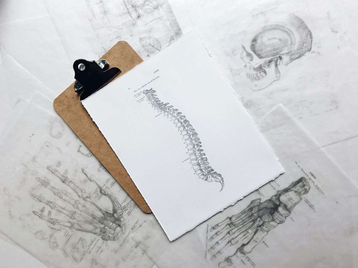 The Truth Behind the Ideal Posture