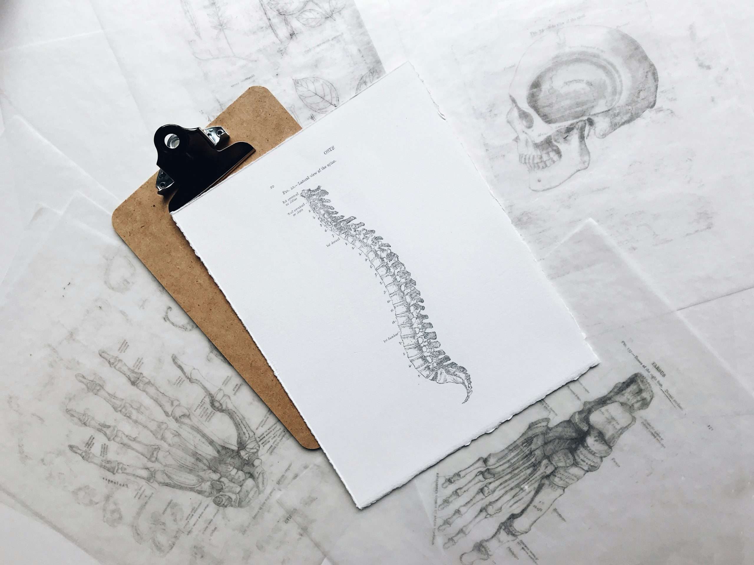 The Truth Behind the Ideal Posture