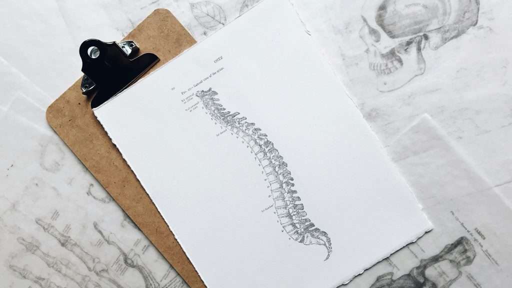 Drawing of spine to show a common and natural posture